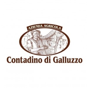 Logo aderente